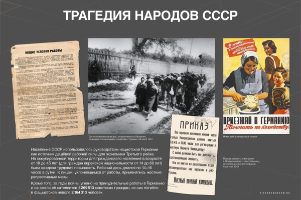 Уроки Нюрнберга (7)